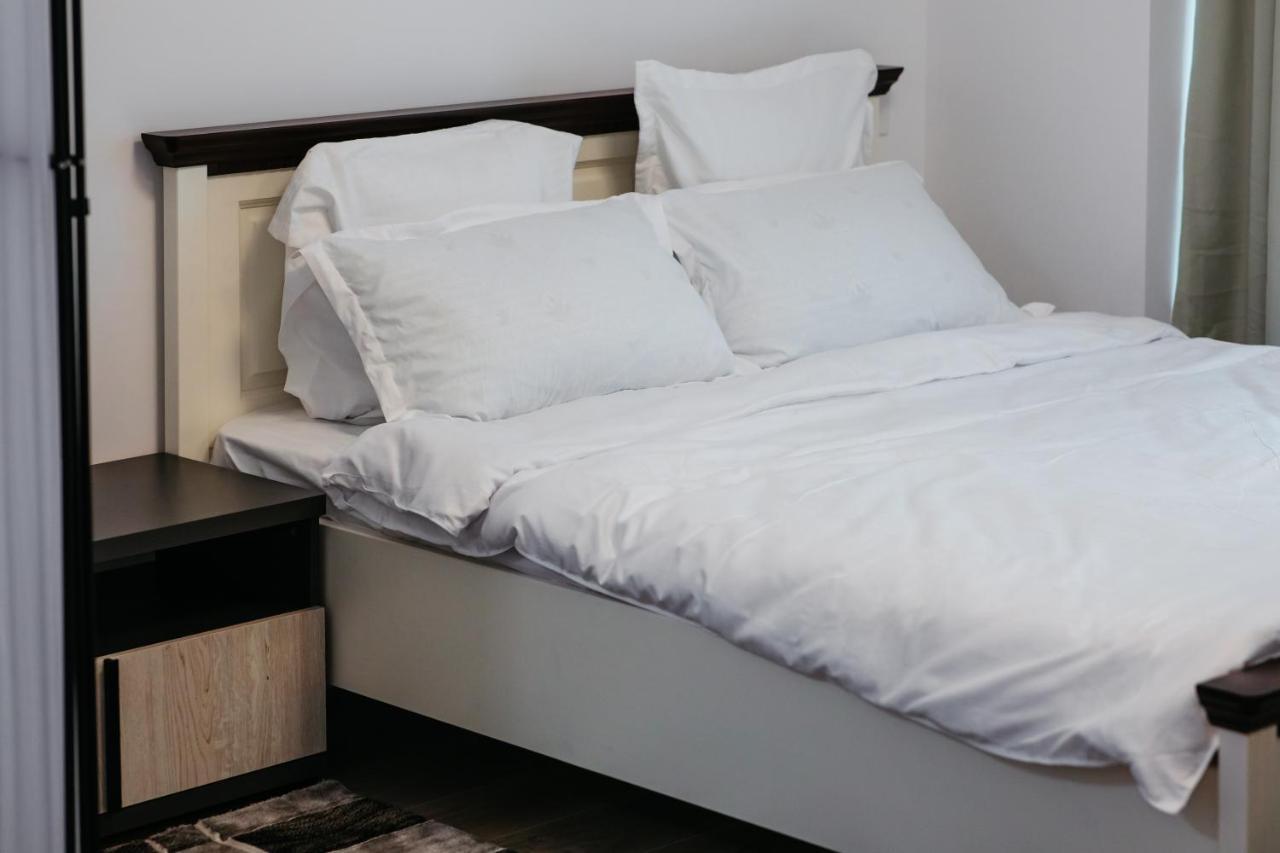 L&V Family Studio Apartment Sinaia Luaran gambar