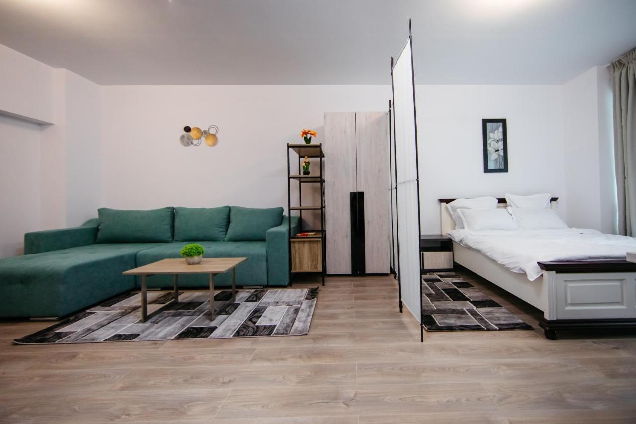 L&V Family Studio Apartment Sinaia Luaran gambar