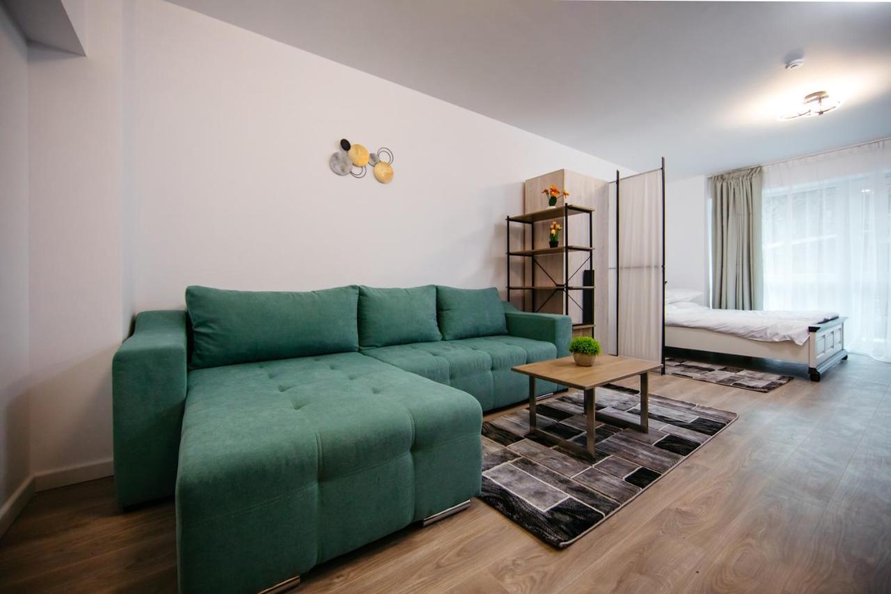 L&V Family Studio Apartment Sinaia Luaran gambar
