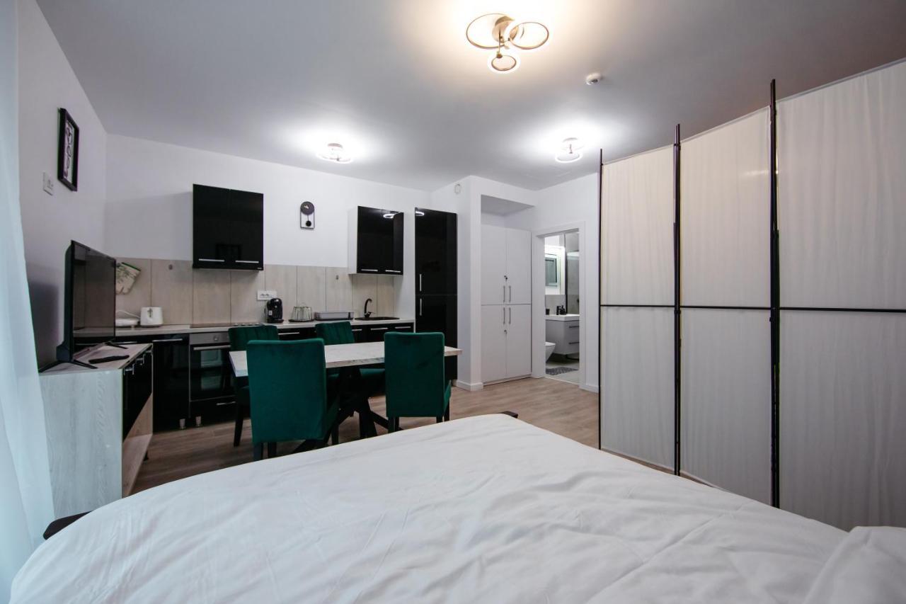 L&V Family Studio Apartment Sinaia Luaran gambar