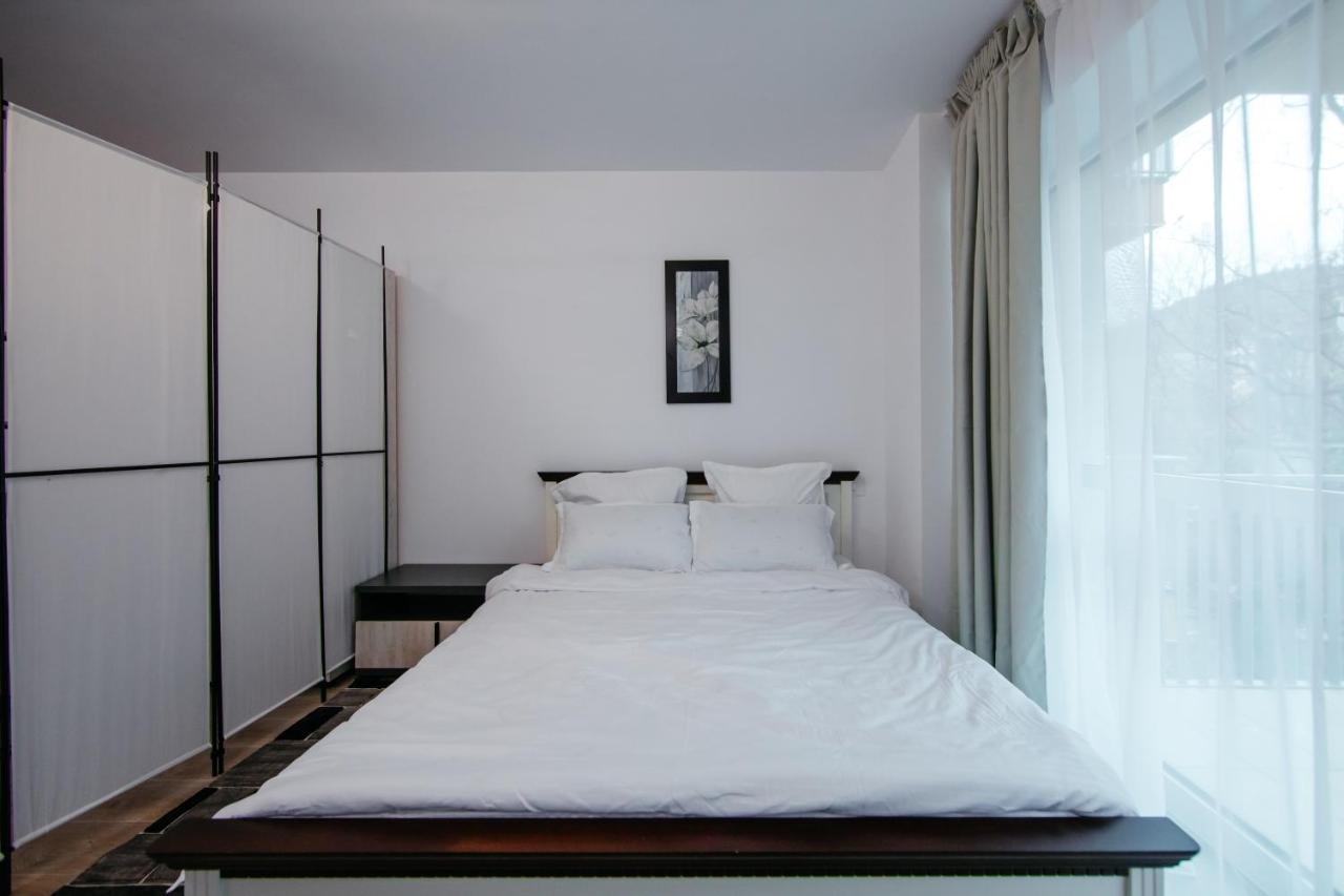 L&V Family Studio Apartment Sinaia Luaran gambar