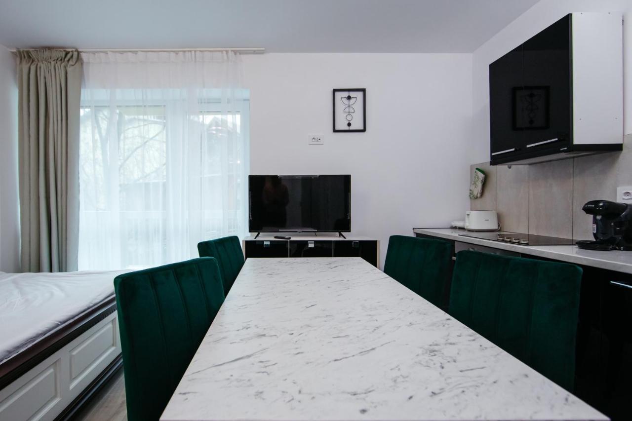 L&V Family Studio Apartment Sinaia Luaran gambar