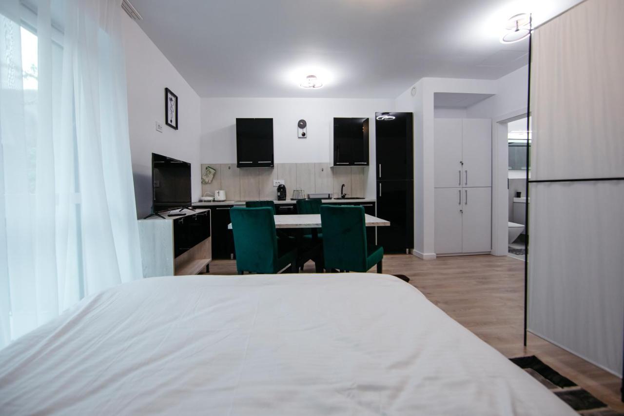 L&V Family Studio Apartment Sinaia Luaran gambar